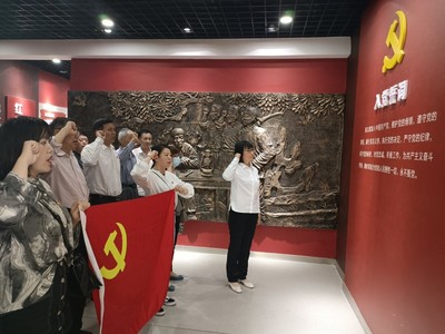 南京市高淳区淳溪街道大丰社区开展“红色教育践初心、党史学习担使命”主题党日活动