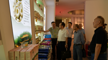 市委党史学习教育第八巡回指导组到市供销社督导党史工作