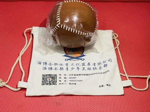 “一诺威杯”学党史云健步百日行 创新参与模式，深化红色教育